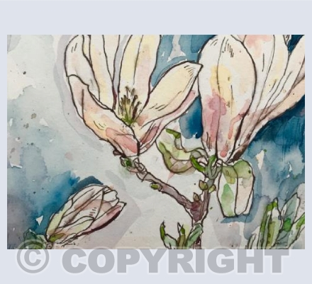 magnolia landscape card