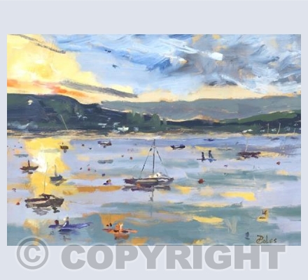 Estuary Escapades
