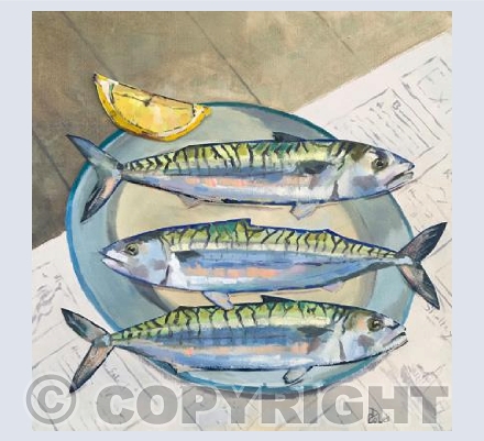 Devon Mackerel