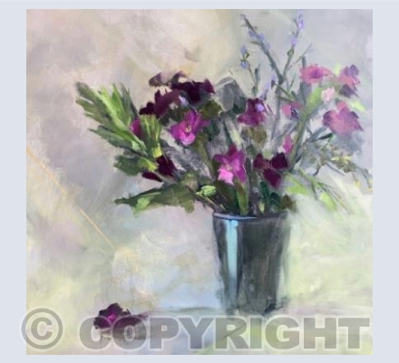 Sweet William