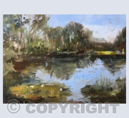 Where the Dragonflies Dance