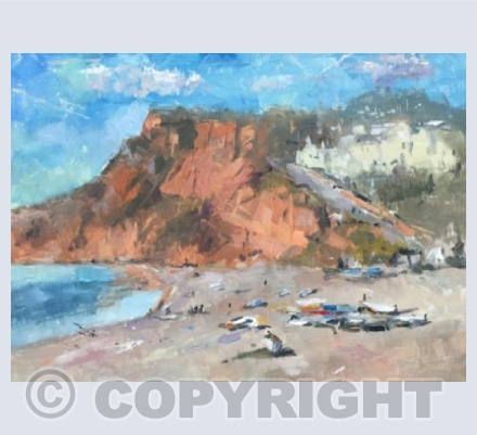Budleigh Beach and Boats