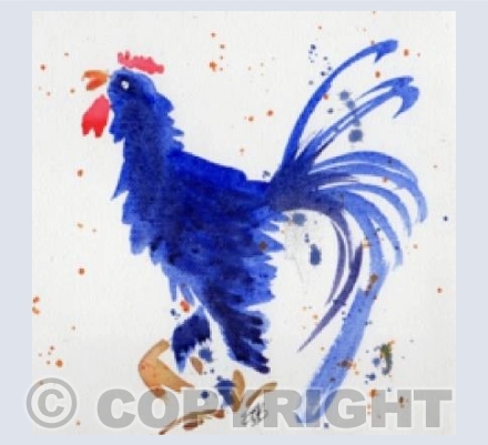 Blue Speckled Cockerel