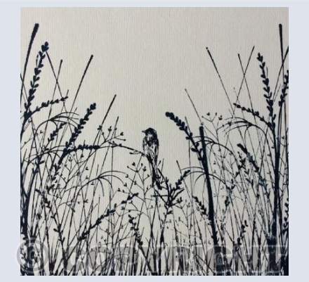 Bird in the meadow