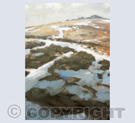 Light Snowfall from Bonehill