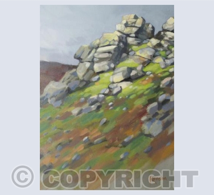 Light on Bonehill Rocks