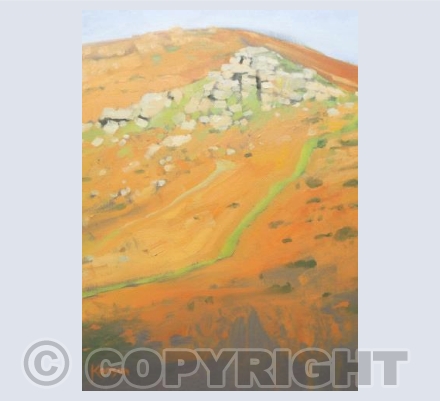 Autumn Sun On Dartmoor