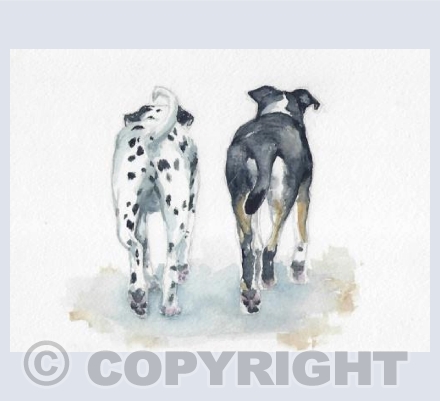 H.T. Dog and Daphne take a romantic stroll