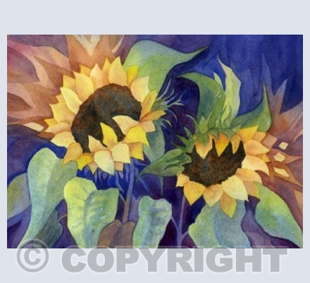 Sunflower rays