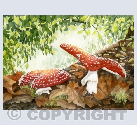 Toadstools