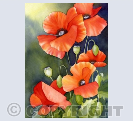 Poppy parade