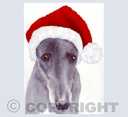 Christmas Daisy