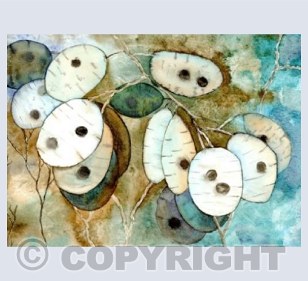 Honesty seeds