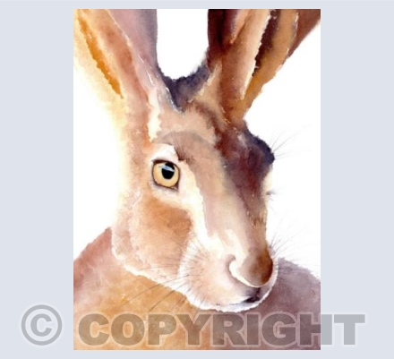 Artful hare