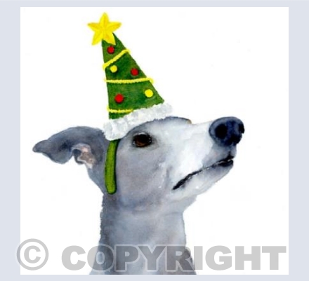 My Christmas hat