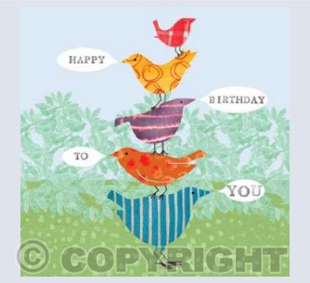 y17 birds birthday