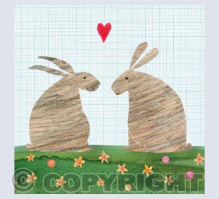 hf3 rabbits