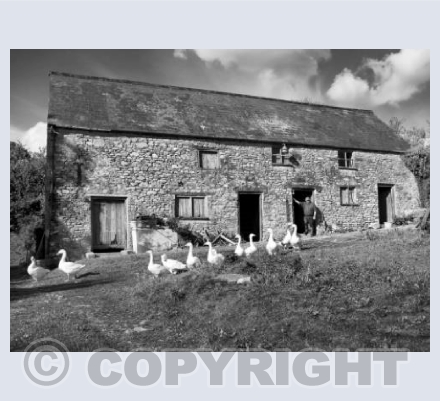 Blackdown Hills Farm