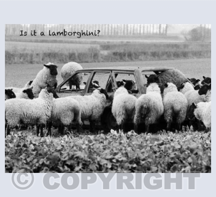 Is it a Lamborghini?