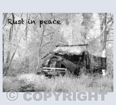 Rust in Peace