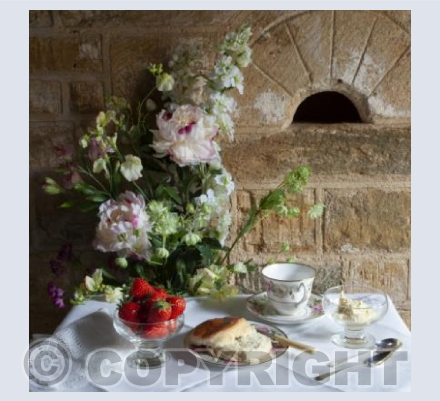 Cream tea
