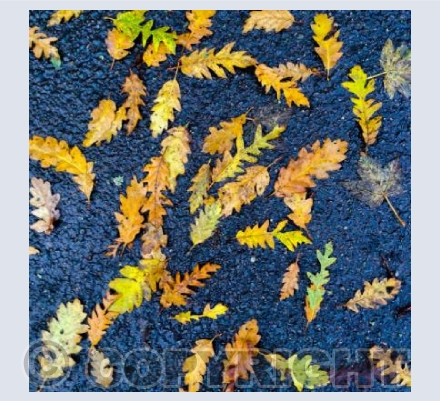 Autumn