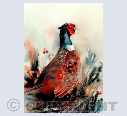 Pheasant - Frost and fire