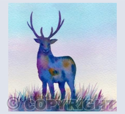 Colourful Stag 2