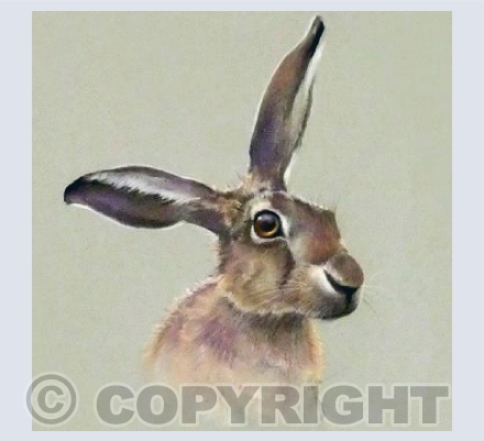 Hare-brained