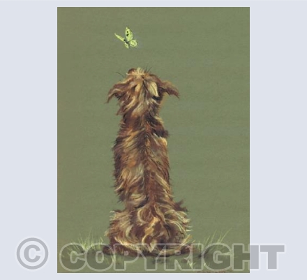 The little things in life