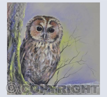 Peek-a-boo