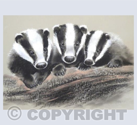 A Full Sett