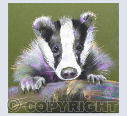 Boris the Badger