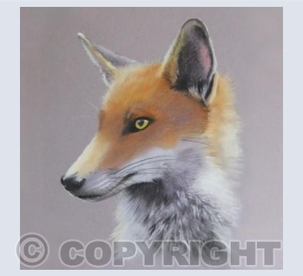 Brer Fox
