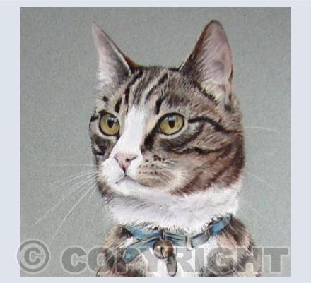 Oliver Puss