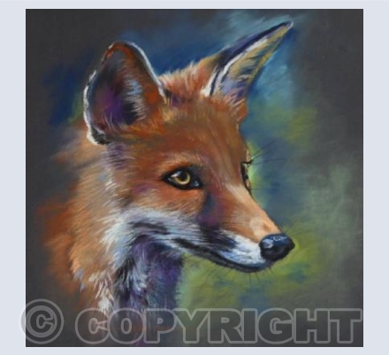 Bright-eyed and Bushy-tailed