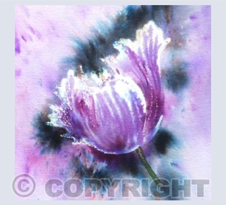 Brusho Tulip