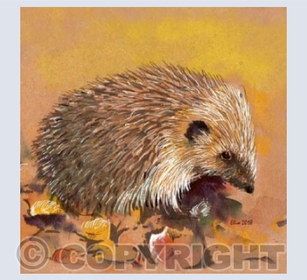 A prickly little customer