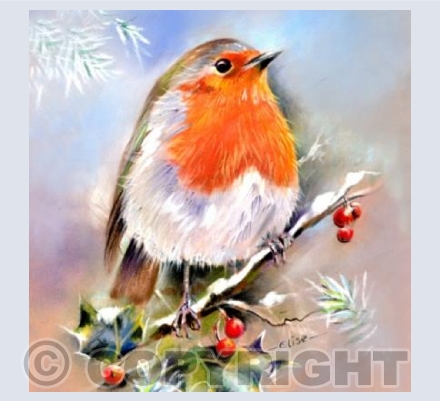 'Winter Joy'