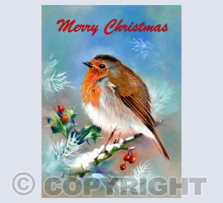 Christmas Robin