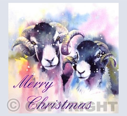 'Snowy Swaledales'