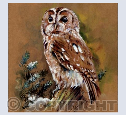 A WintryTawny
