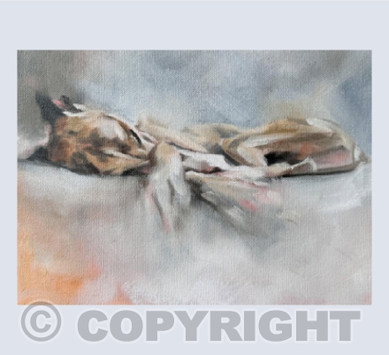 Whippet Dream