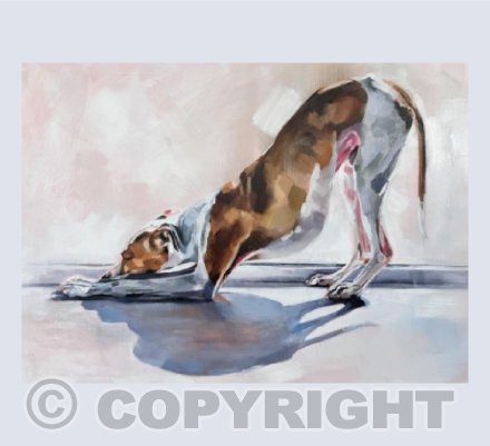 Downward Dog