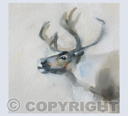 Prancer