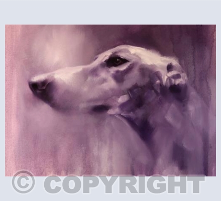 Purple Quita