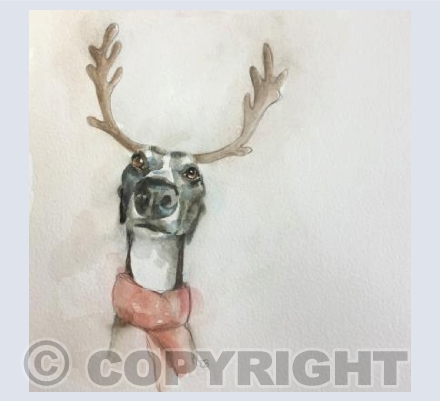 Reindeer Bella
