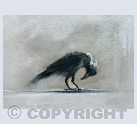 Crow