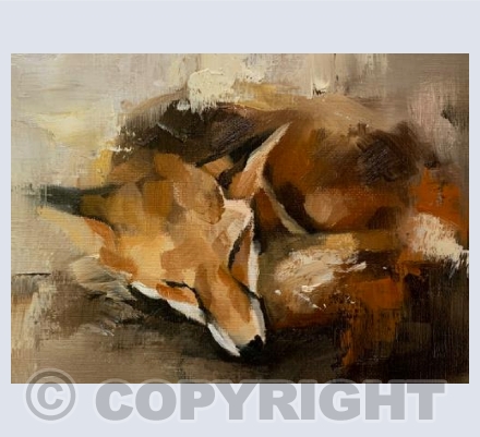 Sleeping fox