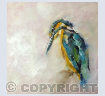 Kingfisher 